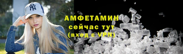 PSILOCYBIN Тайга