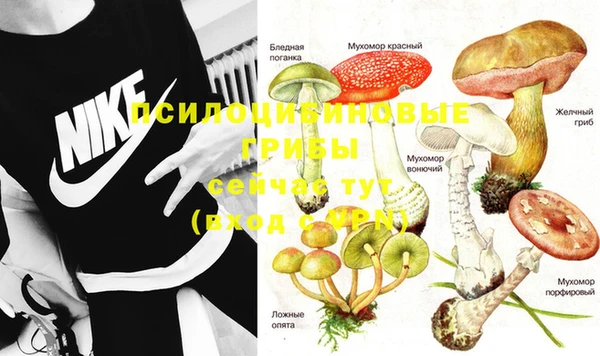 скорость mdpv Гусь-Хрустальный