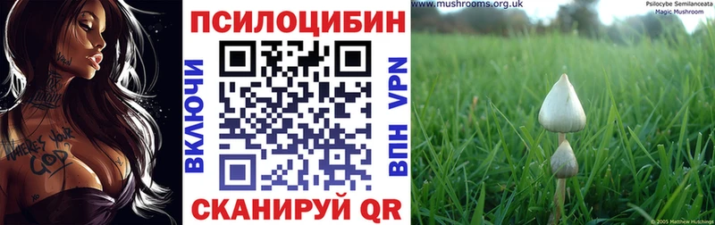 Галлюциногенные грибы Cubensis  дарк нет формула  Дагестанские Огни  купить наркотики сайты 