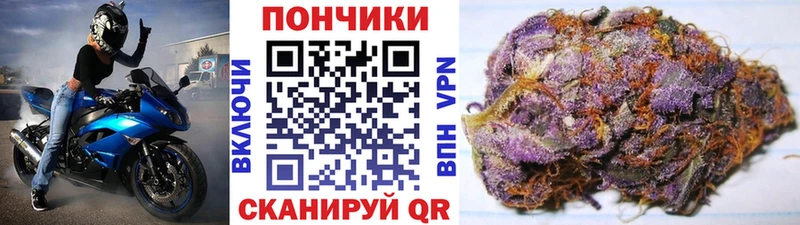 Шишки марихуана ГИДРОПОН  Дагестанские Огни 